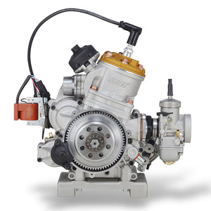 Vortex ROK GP Senior Complete Engine