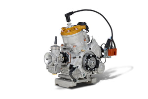Vortex ROK GP Senior Complete Engine